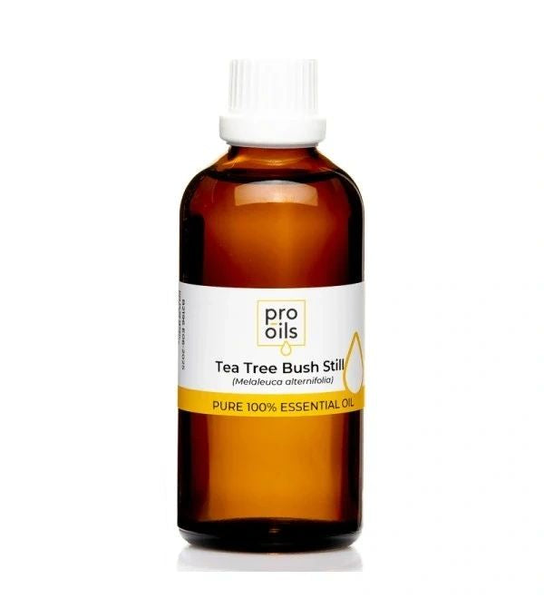 Tea Tree Bush Still - Essential Oil