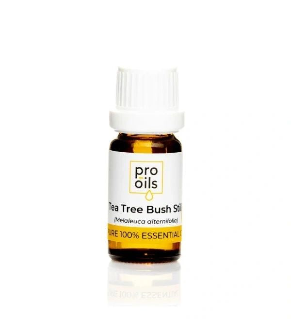 Tea Tree Bush Still - Essential Oil