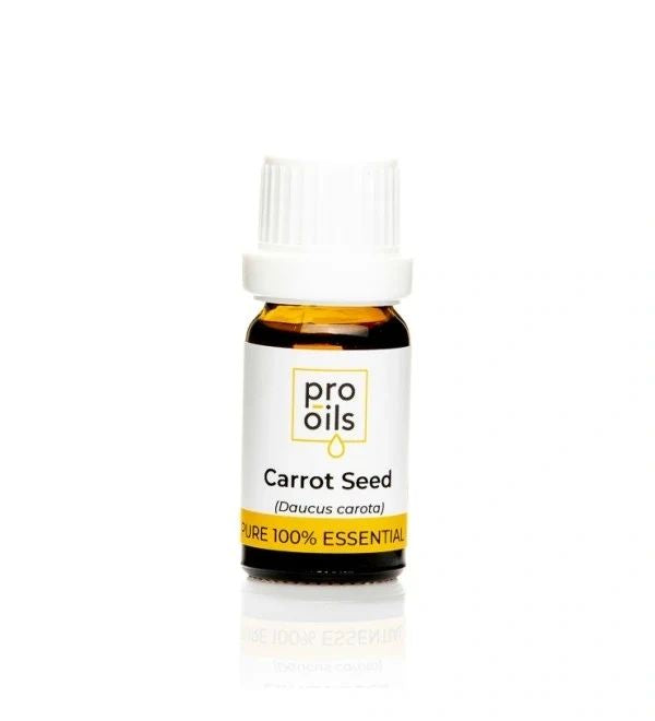 Carrot Seed - Essential Oil
