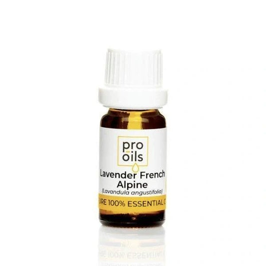 Lavender Alpine - Essential Oil