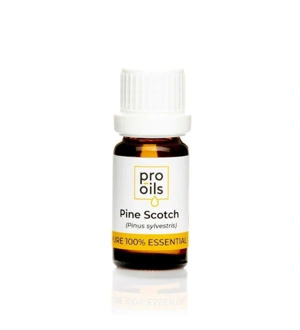 Pine Scotch - Essential Oil