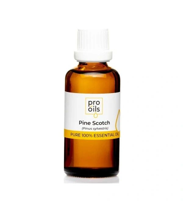 Pine Scotch - Essential Oil