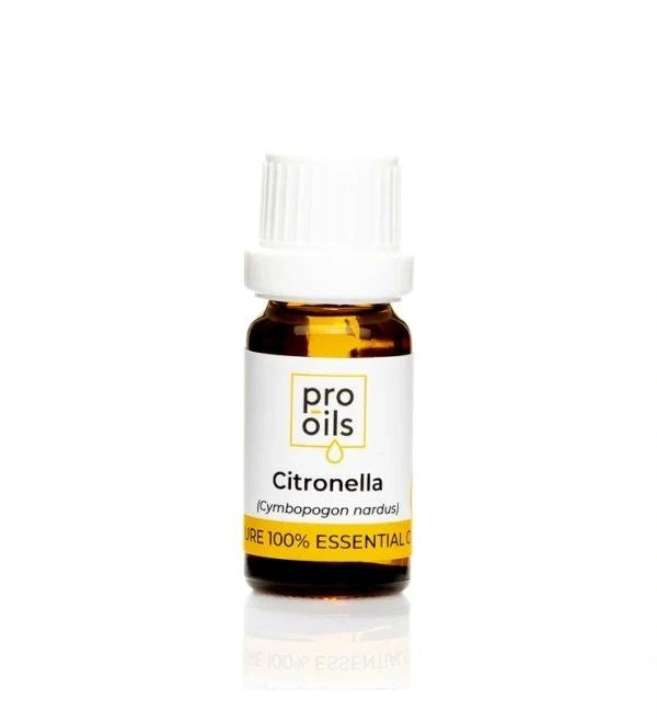 Citronella - Essential Oil