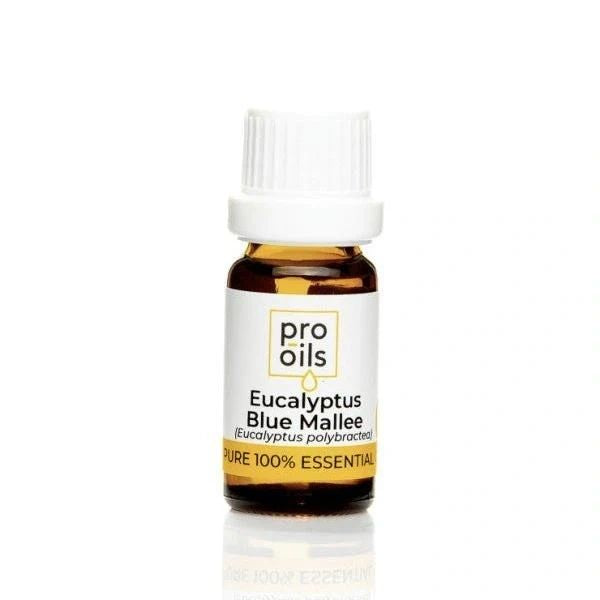 Eucalyptus Blue Mallee - Essential Oil
