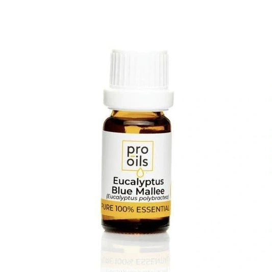Eucalyptus Blue Mallee - Essential Oil