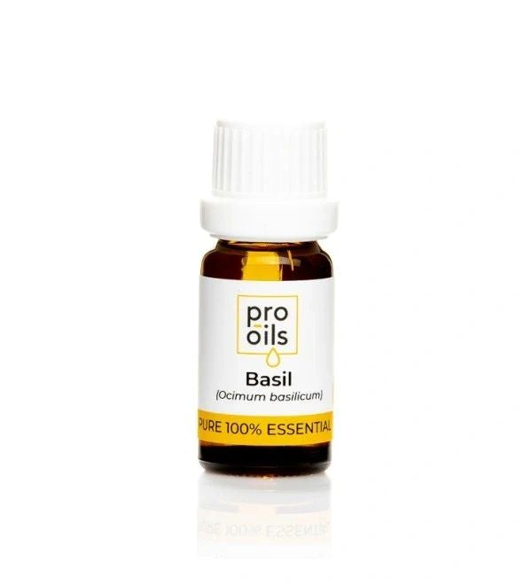 Basil - Essential Oil