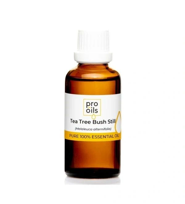 Tea Tree Bush Still - Essential Oil